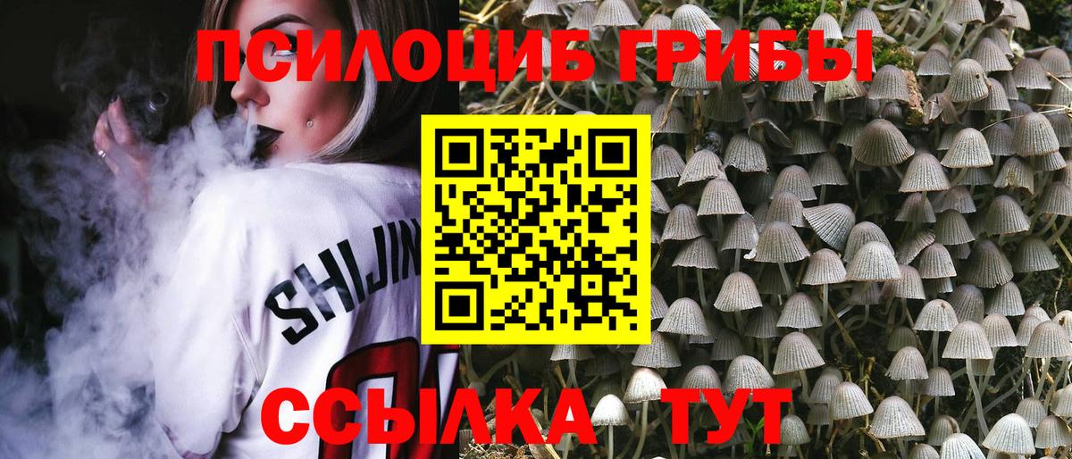 Стерлитамак  Псилоцибиновые грибы MAGIC MUSHROOMS  Вход с VPN  купить   Псилоцибиновые грибы Cubensis 