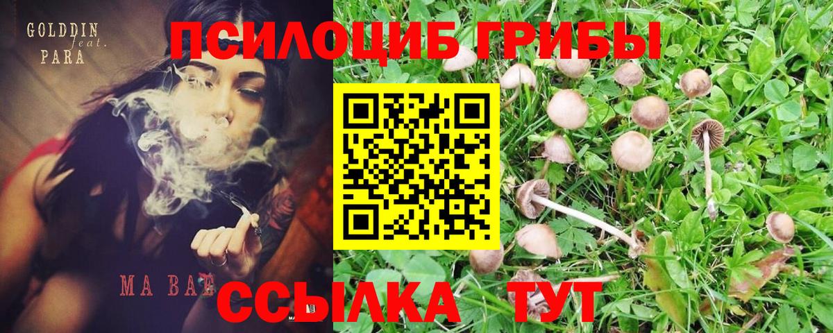 Псилоцибиновые грибы Magic Shrooms Стерлитамак